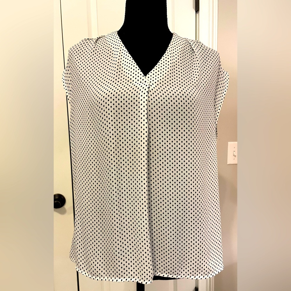 Banana Republic v-neck blouse.